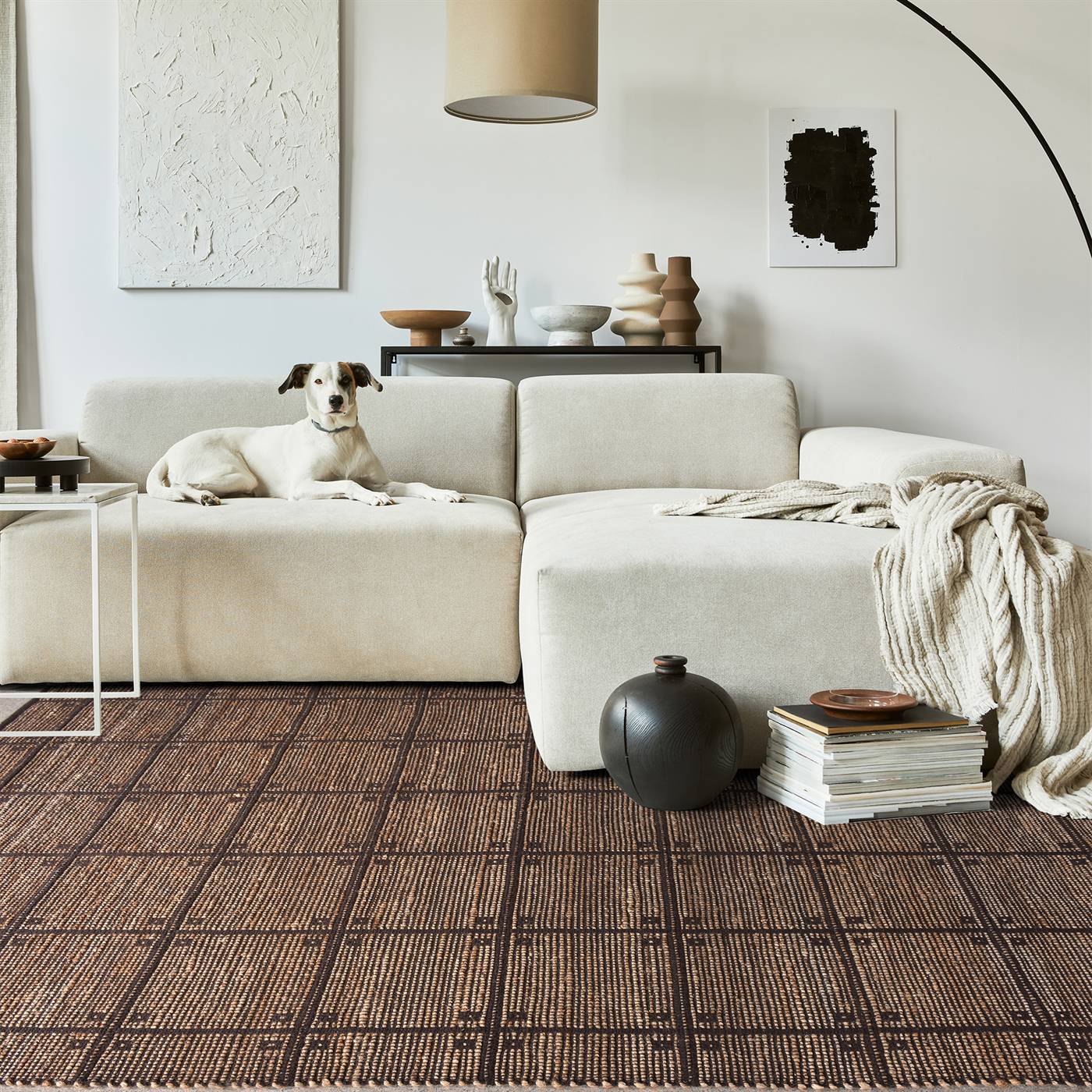 Area Rug, Bedroom Rug, Living Room Rug, Living Area Rug, Indian Rug, Office Carpet, Office Rug, Shop Rug Online, Natural, Brown , Jute, Cotton, Polyester , Hand Woven , Pitloom, Flat Weave, Contemporary