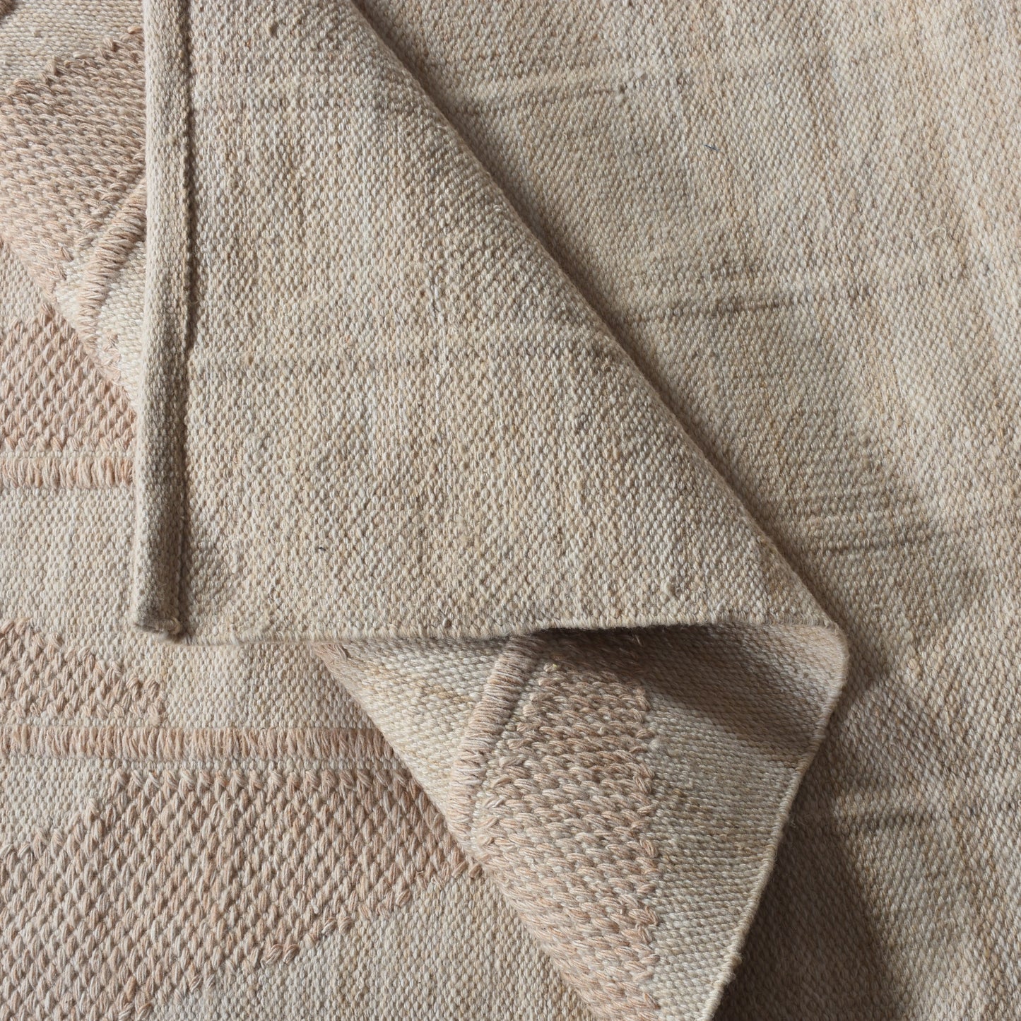 CASNER RUG - BEIGE - HANDWOVEN - PET