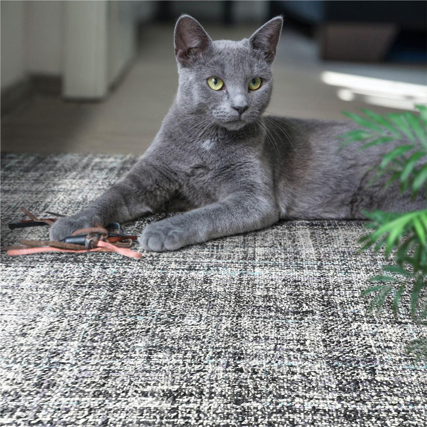 FAHRO RUG - HEMP/ WOOL/ VISCOSE BLEND