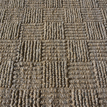Area Rug, Bedroom Rug, Living Room Rug, Living Area Rug, Indian Rug, Office Carpet, Office Rug, Shop Rug Online, Pet, Sisal, Pitloom, All Loop, Modern
